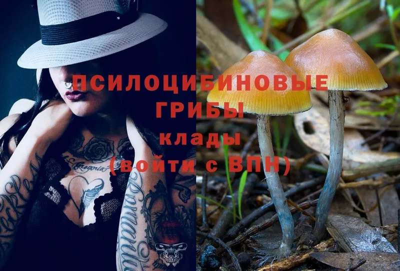 мориарти формула  Городовиковск  гидра зеркало  Псилоцибиновые грибы Magic Shrooms  цена  